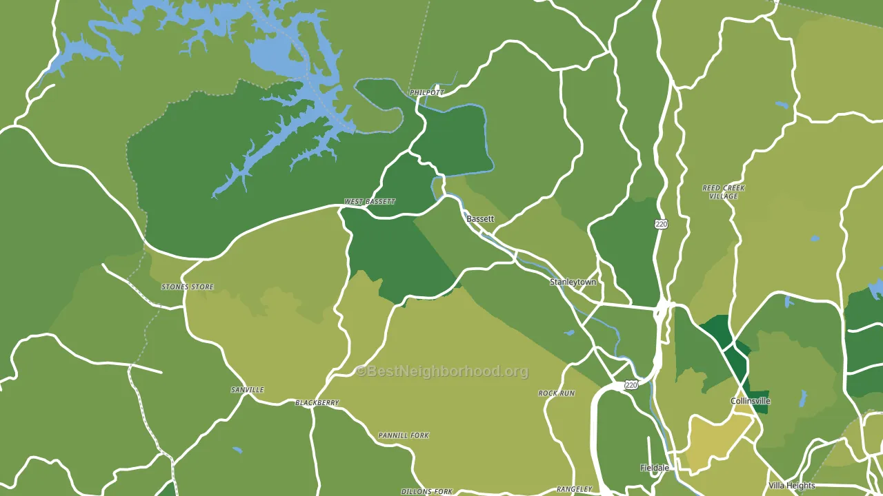 Bassett, VA block-group voter-turnout map