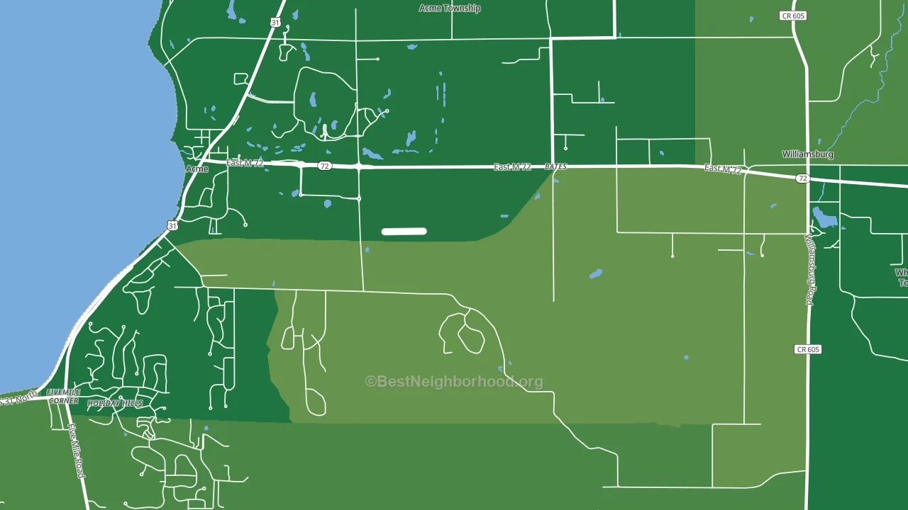 Bates, MI block-group voter-turnout map