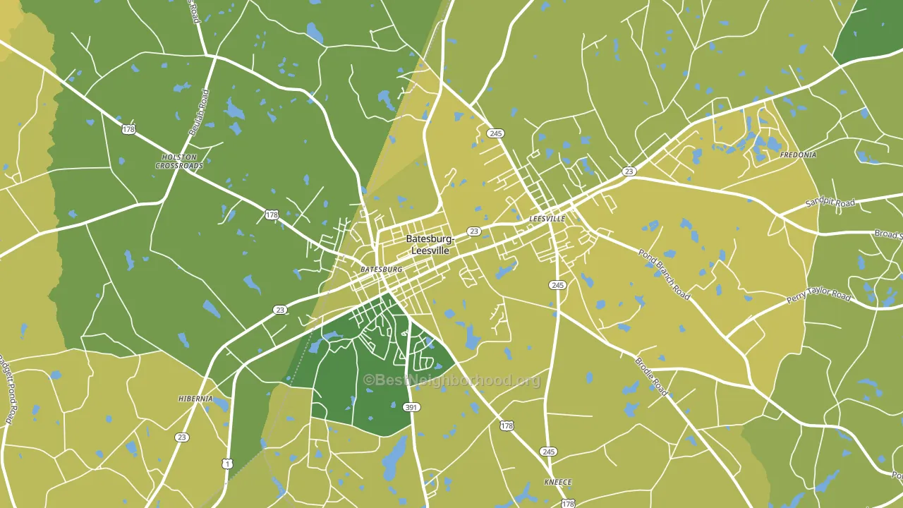 Batesburg-Leesville, SC block-group voter-turnout map