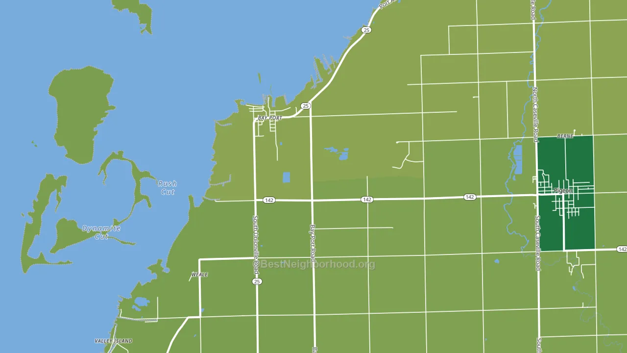 Bay Port, MI block-group voter-turnout map
