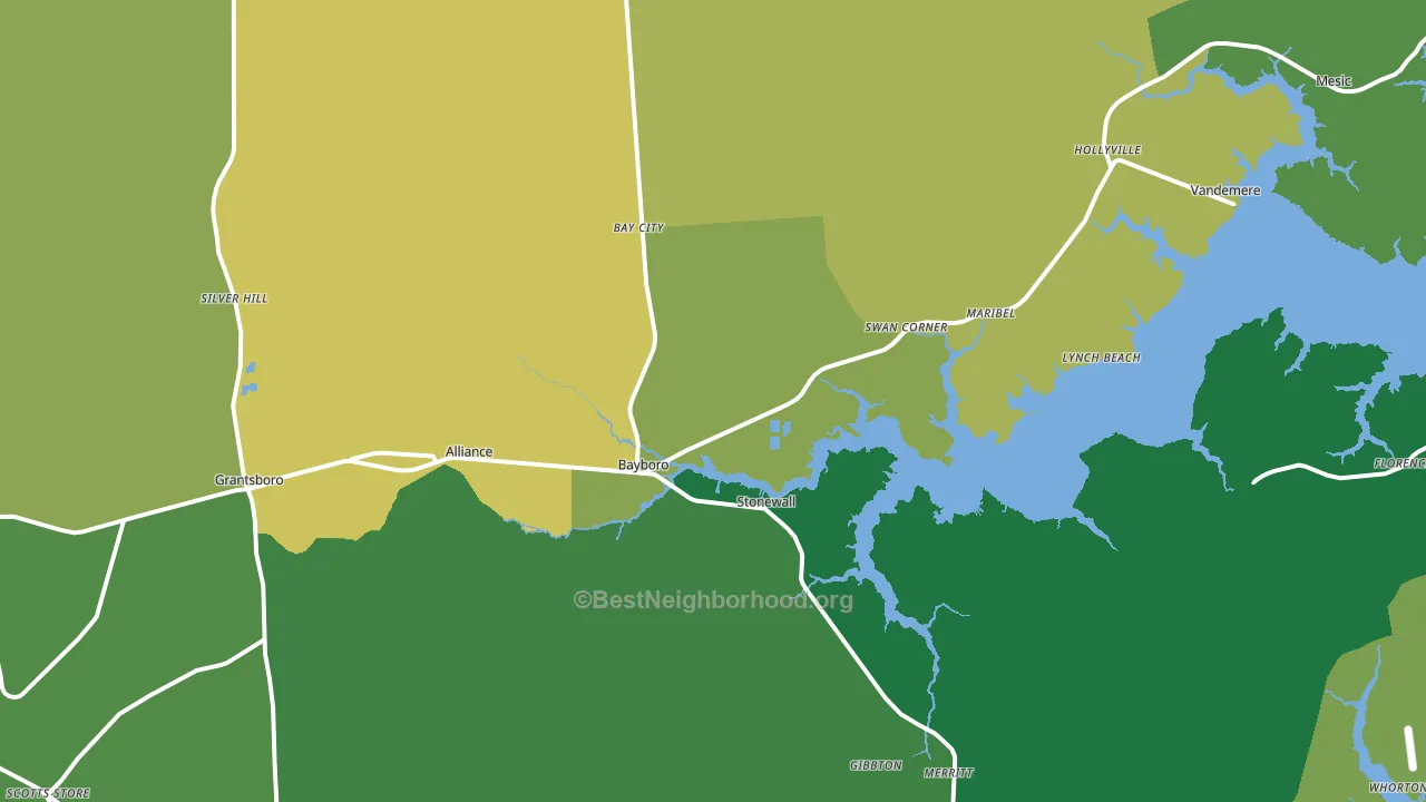 Bayboro, NC block-group voter-turnout map