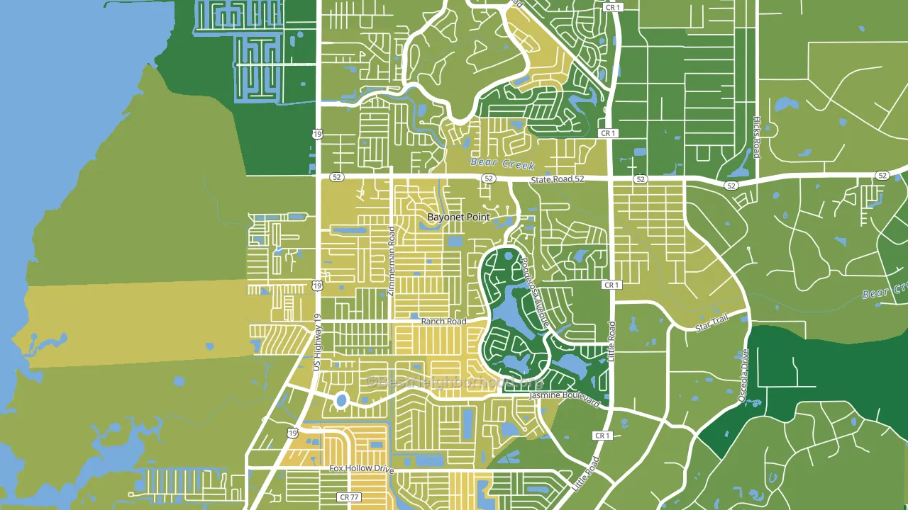 Bayonet Point, FL block-group voter-turnout map