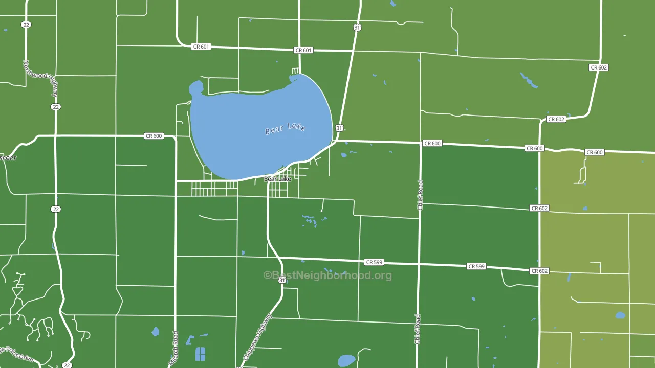 Bear Lake, MI block-group voter-turnout map
