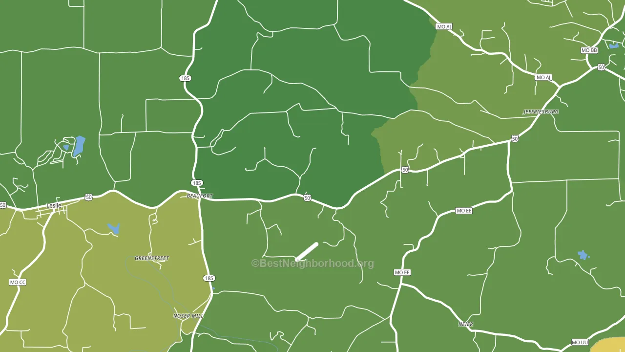 Beaufort, MO block-group voter-turnout map