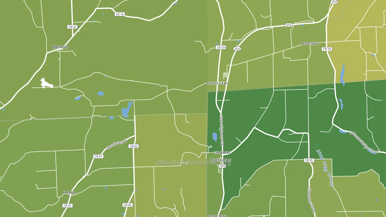 Beaver Dams, NY block-group voter-turnout map