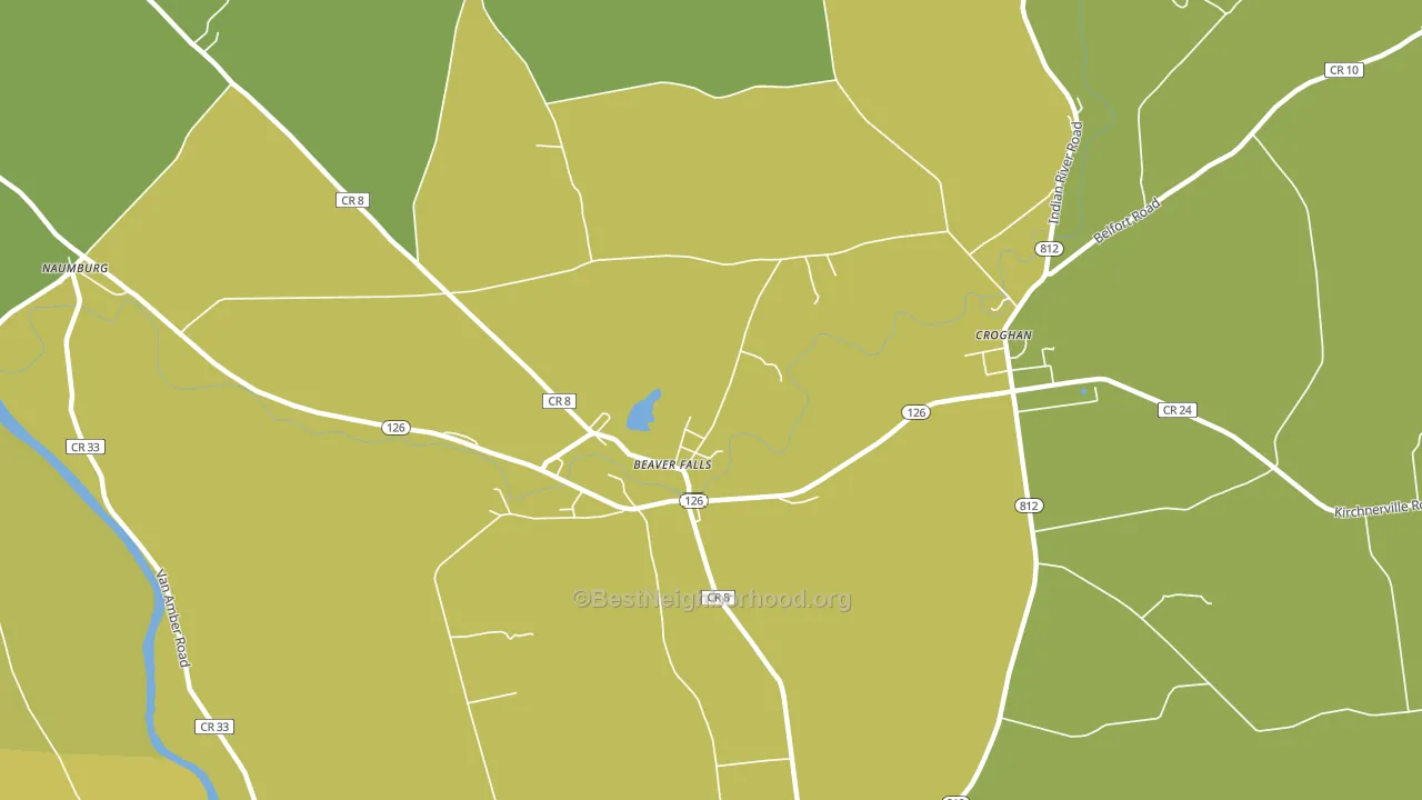 Beaver Falls, NY block-group voter-turnout map