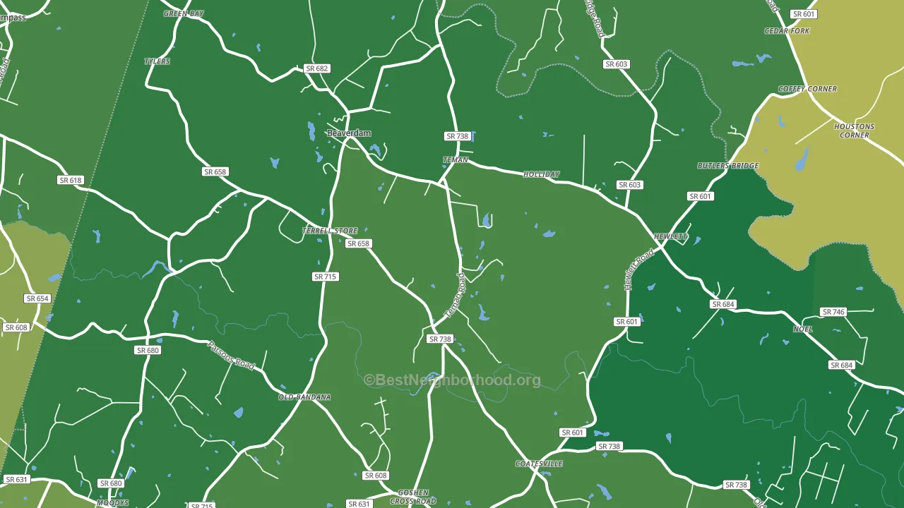 Beaverdam, VA block-group voter-turnout map