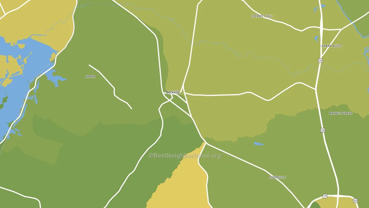 Beckville, TX block-group voter-turnout map