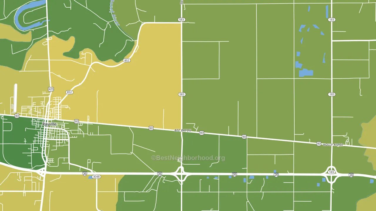 Bee Bayou, LA block-group voter-turnout map
