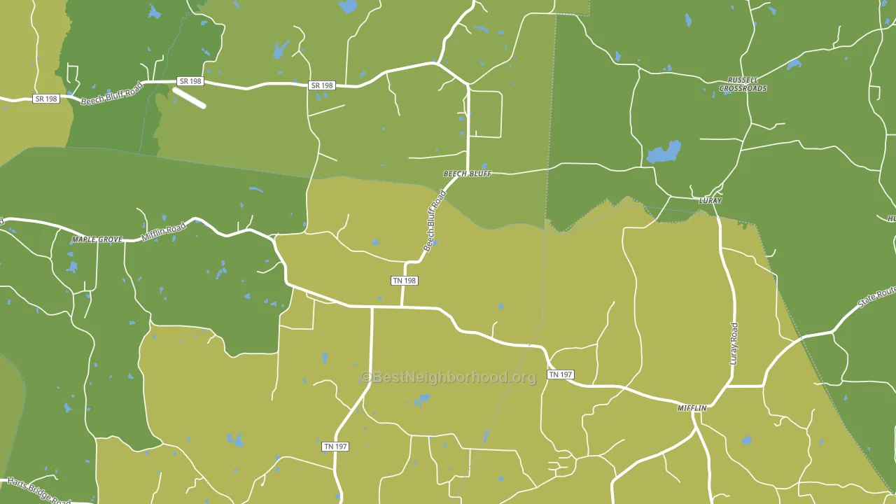 Beech Bluff, TN block-group voter-turnout map