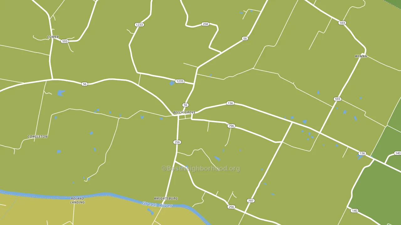 Beech Grove, KY block-group voter-turnout map
