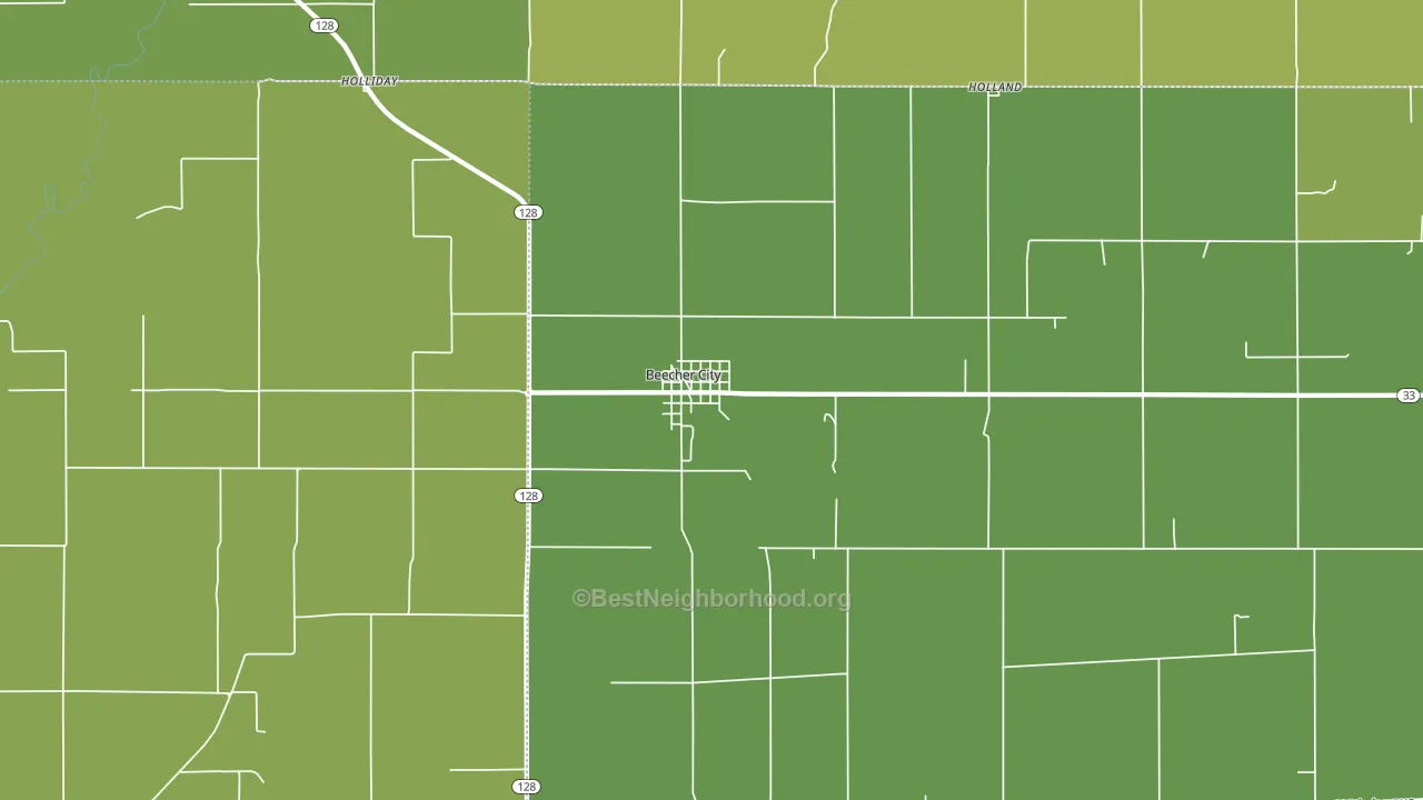 Beecher City, IL block-group voter-turnout map