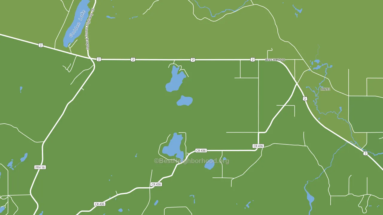 Beechwood, MI block-group voter-turnout map