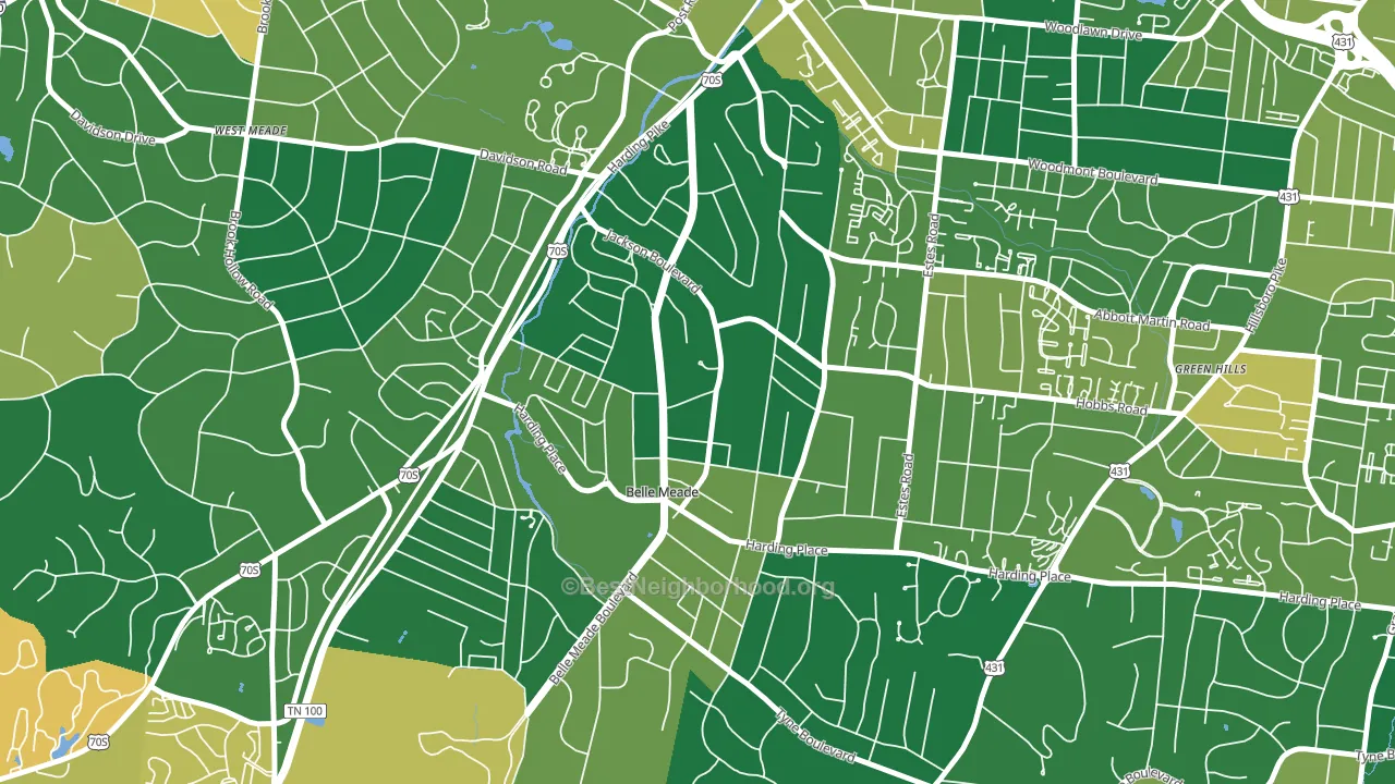 Belle Meade, TN block-group voter-turnout map