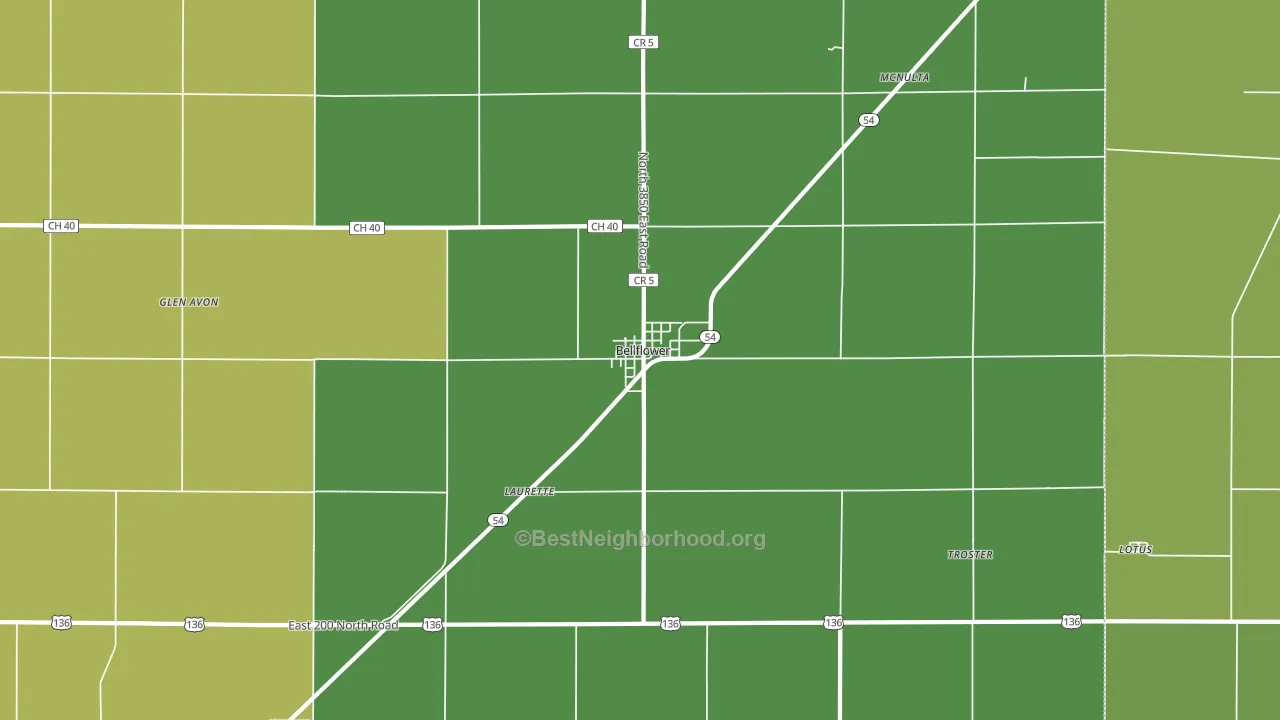 Bellflower, IL block-group voter-turnout map