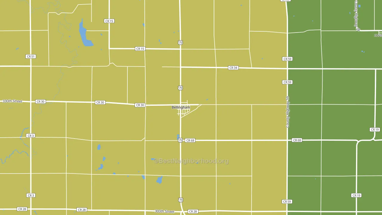 Bellingham, MN block-group voter-turnout map
