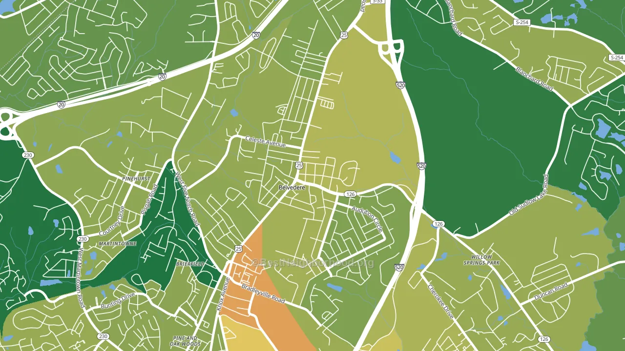 Belvedere, SC block-group voter-turnout map