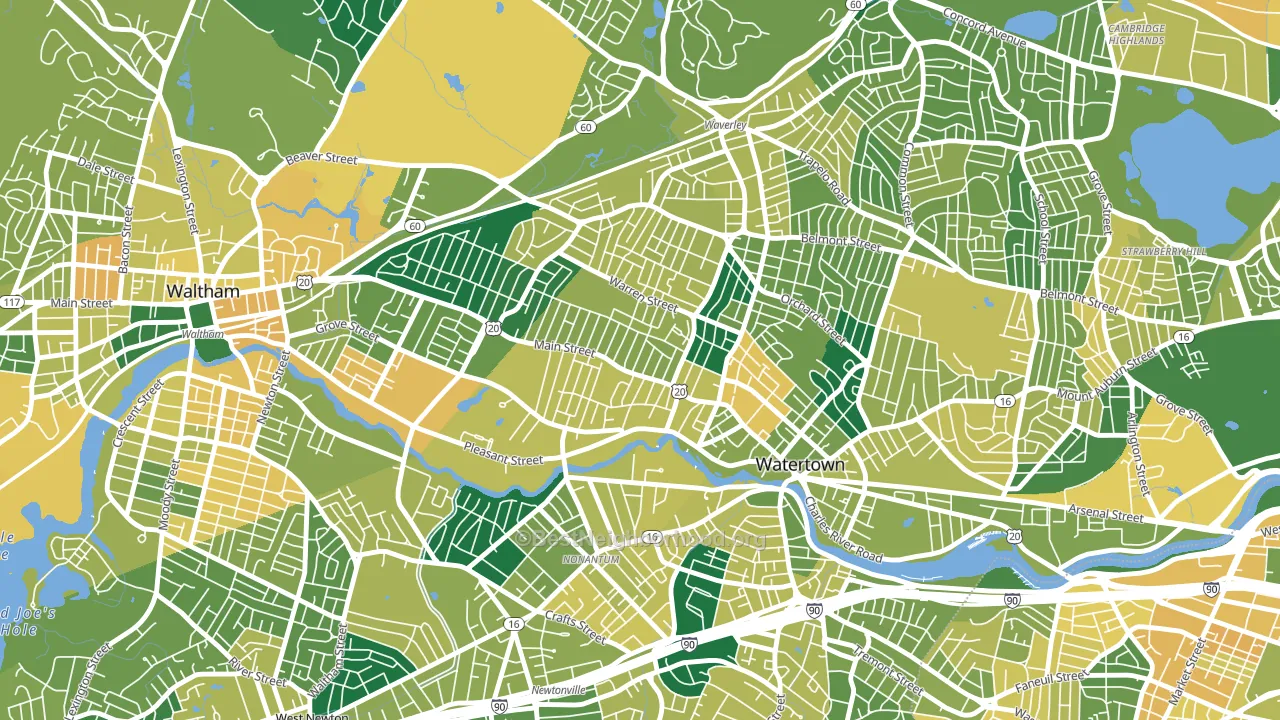 Bemis, Watertown Town, MA block-group voter-turnout map