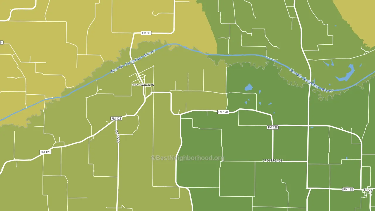 Ben Franklin, TX block-group voter-turnout map