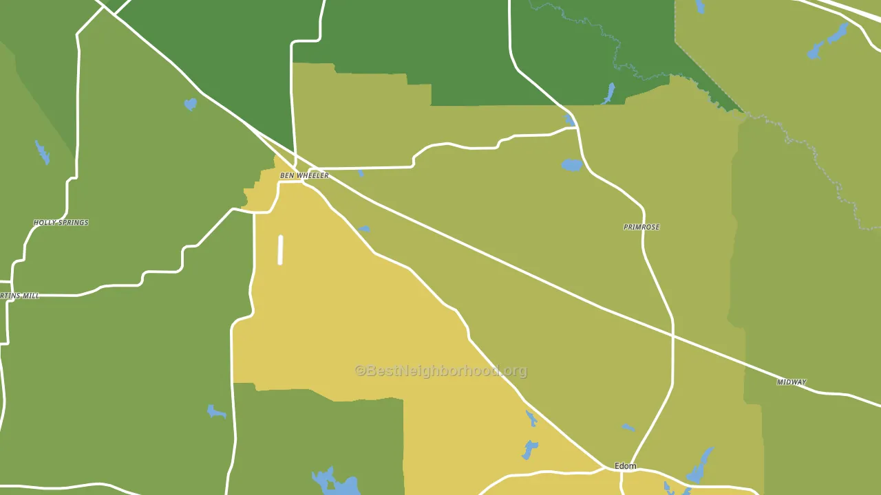 Ben Wheeler, TX block-group voter-turnout map