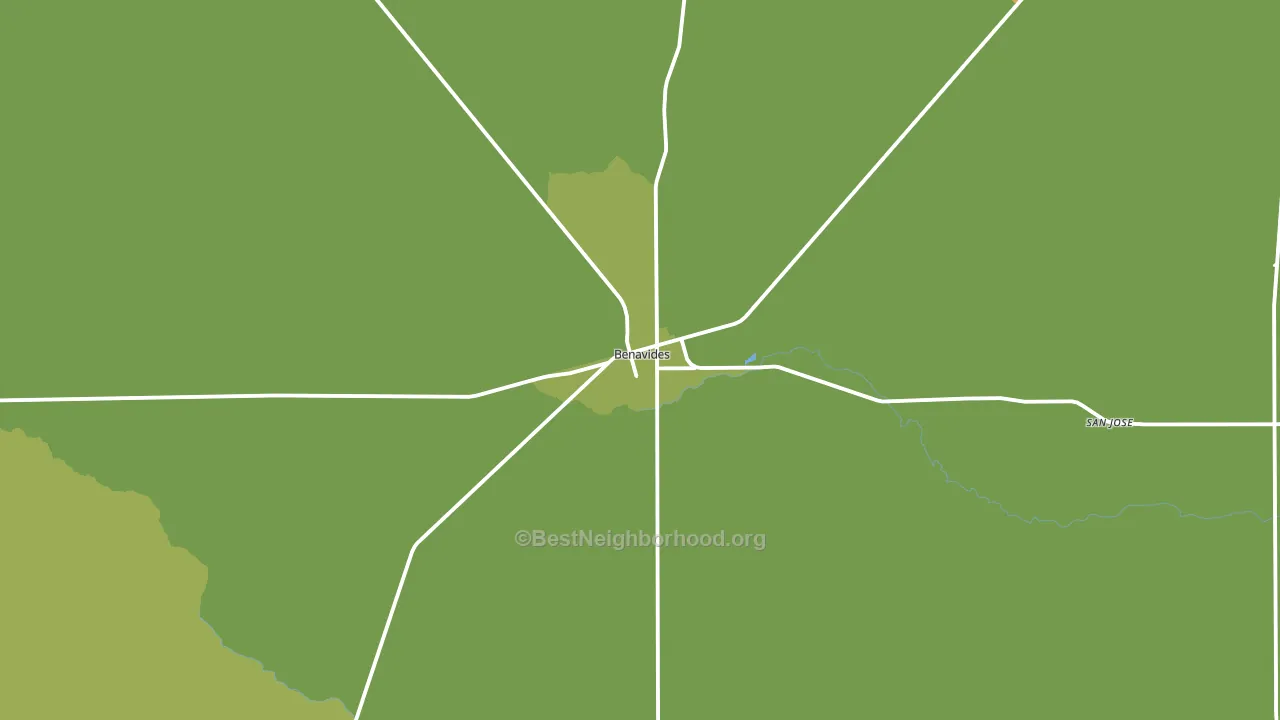 Benavides, TX block-group voter-turnout map
