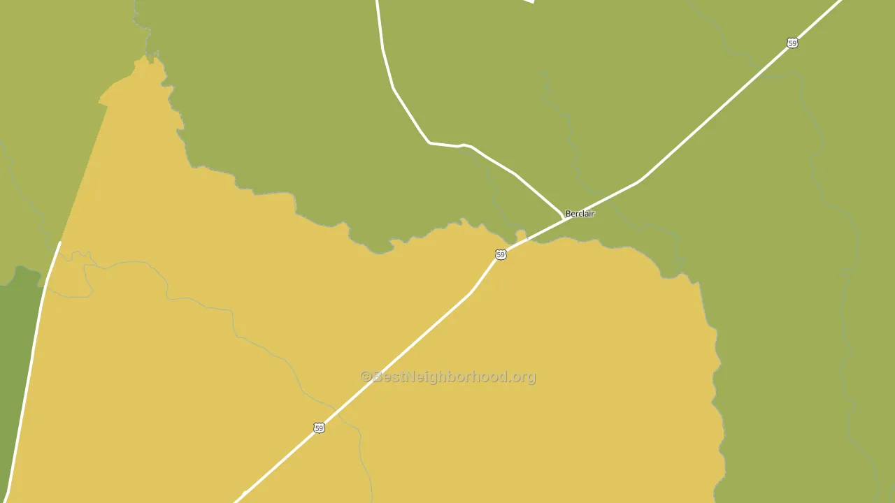 Berclair, TX block-group voter-turnout map