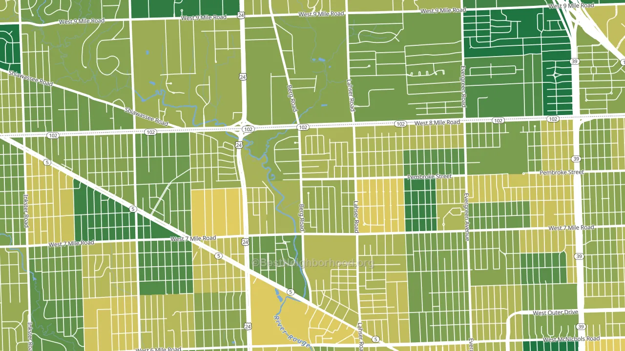 Berg-Lasher, Detroit, MI block-group voter-turnout map