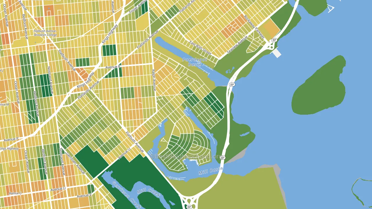 Bergen Beach, Brooklyn, NY block-group voter-turnout map