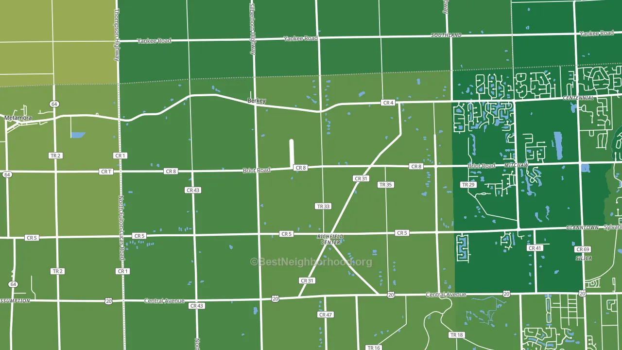 Berkey, OH block-group voter-turnout map