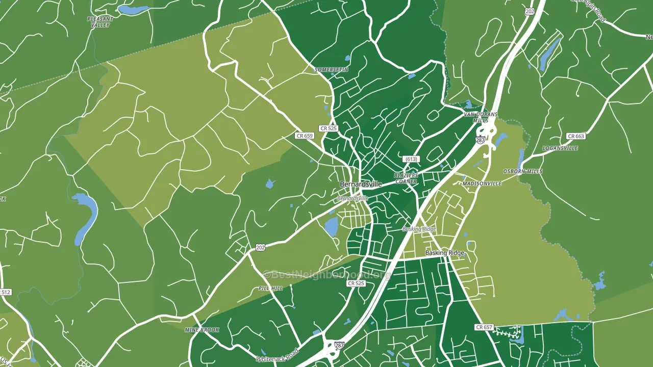 Bernardsville, NJ block-group voter-turnout map