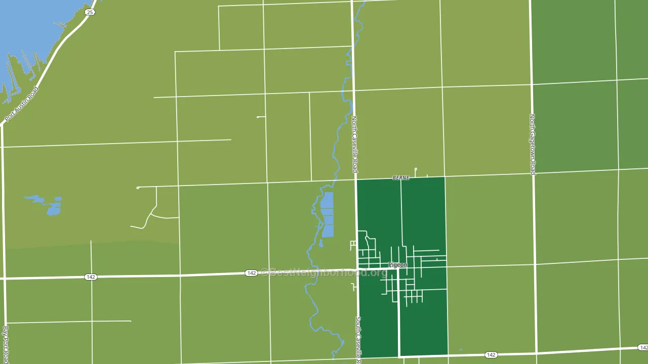 Berne, MI block-group voter-turnout map
