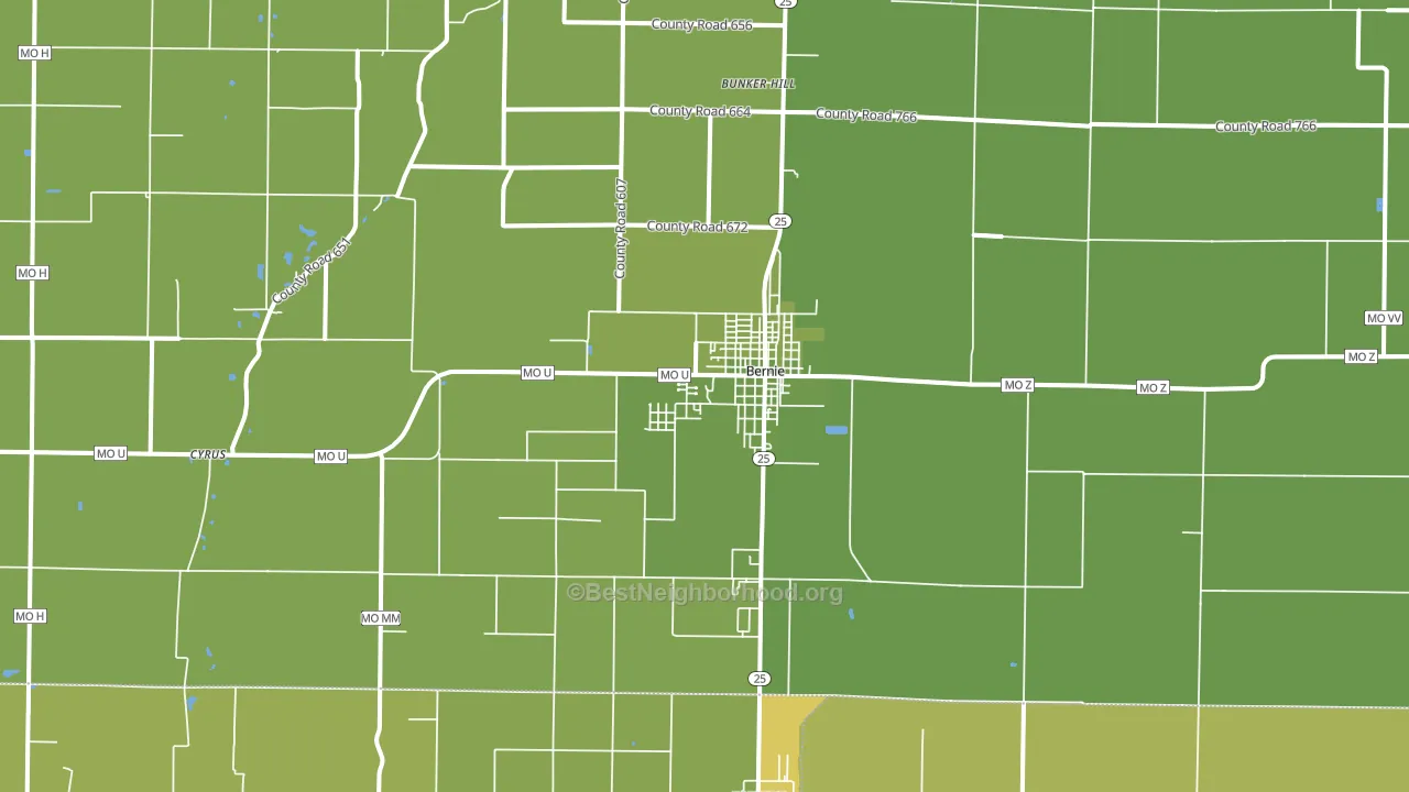 Bernie, MO block-group voter-turnout map