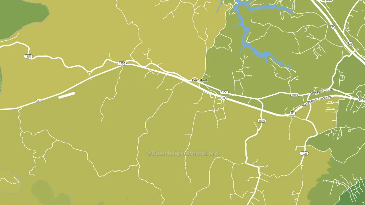 Bernstadt, KY block-group voter-turnout map