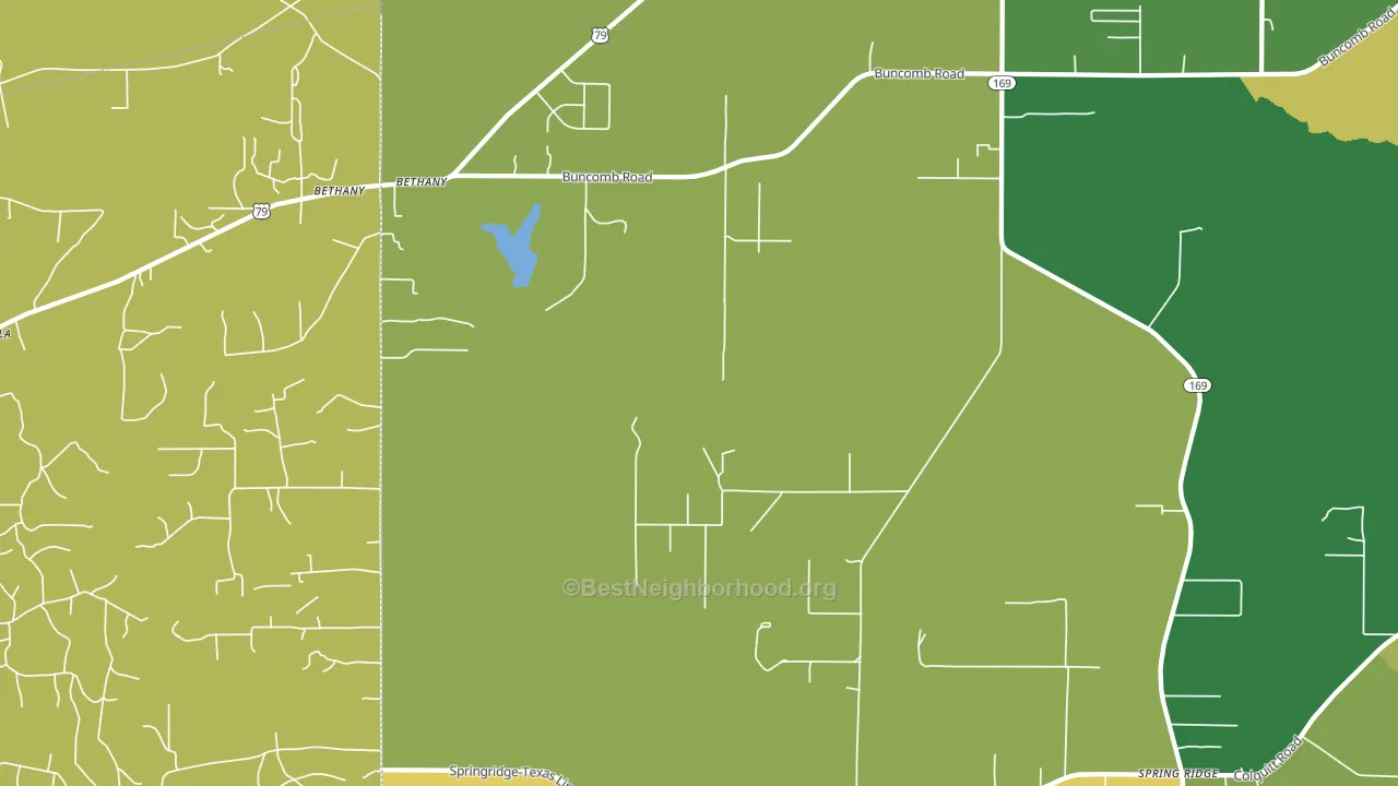 Bethany, LA block-group voter-turnout map