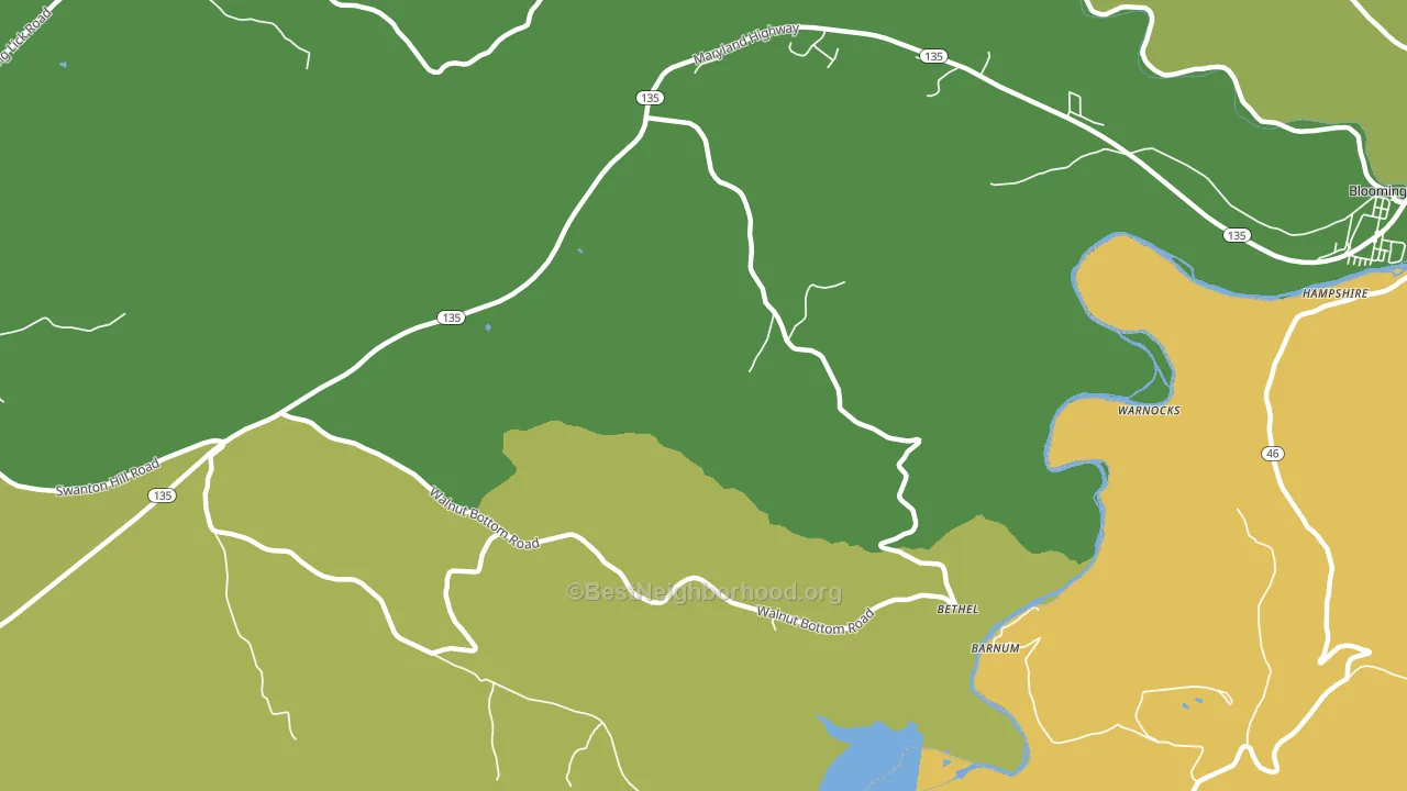 Bethel, MD block-group voter-turnout map