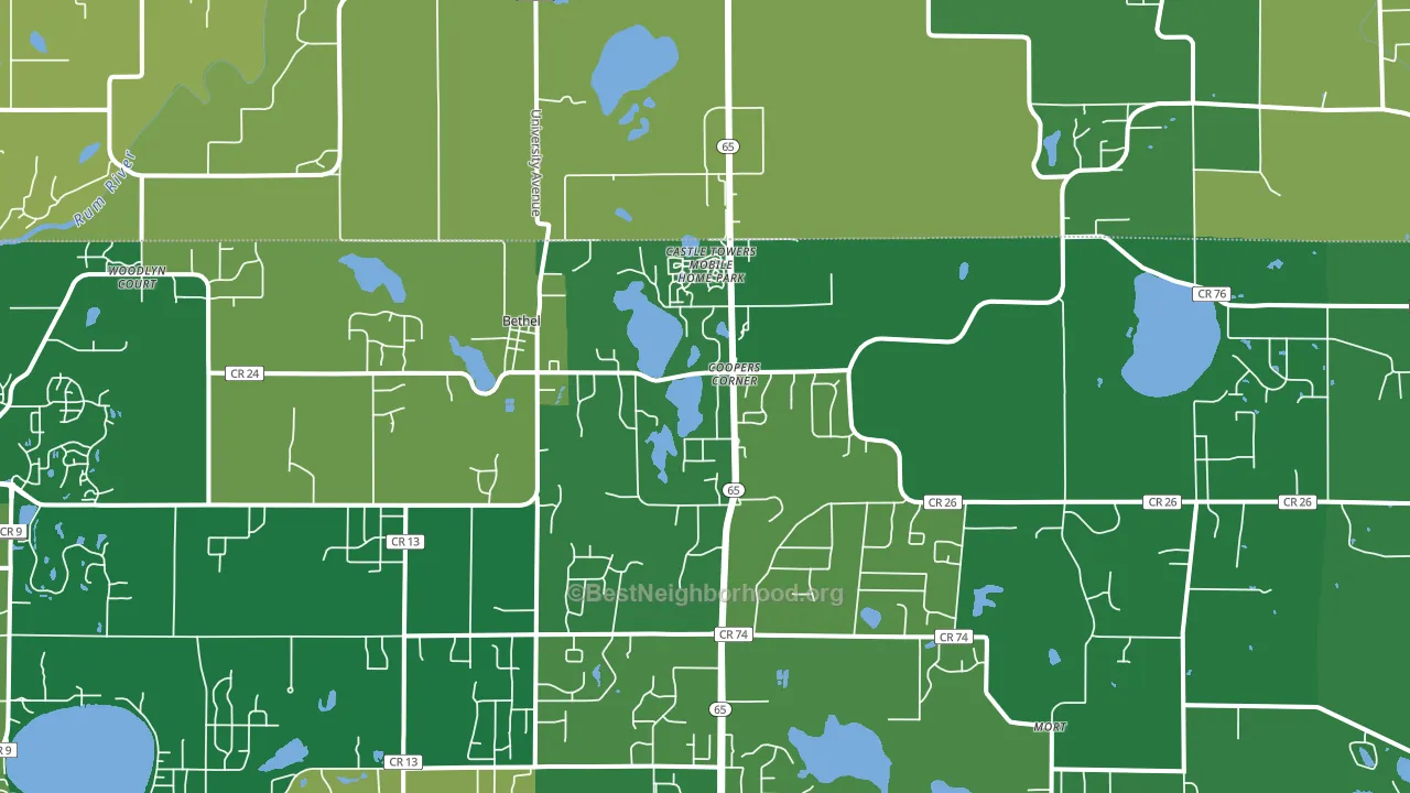 Bethel, MN block-group voter-turnout map
