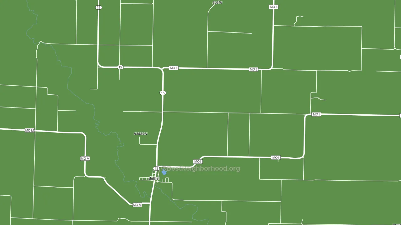 Bethel, MO block-group voter-turnout map