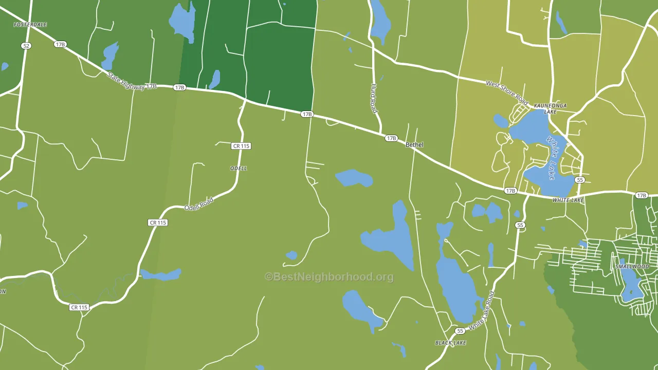 Bethel, NY block-group voter-turnout map