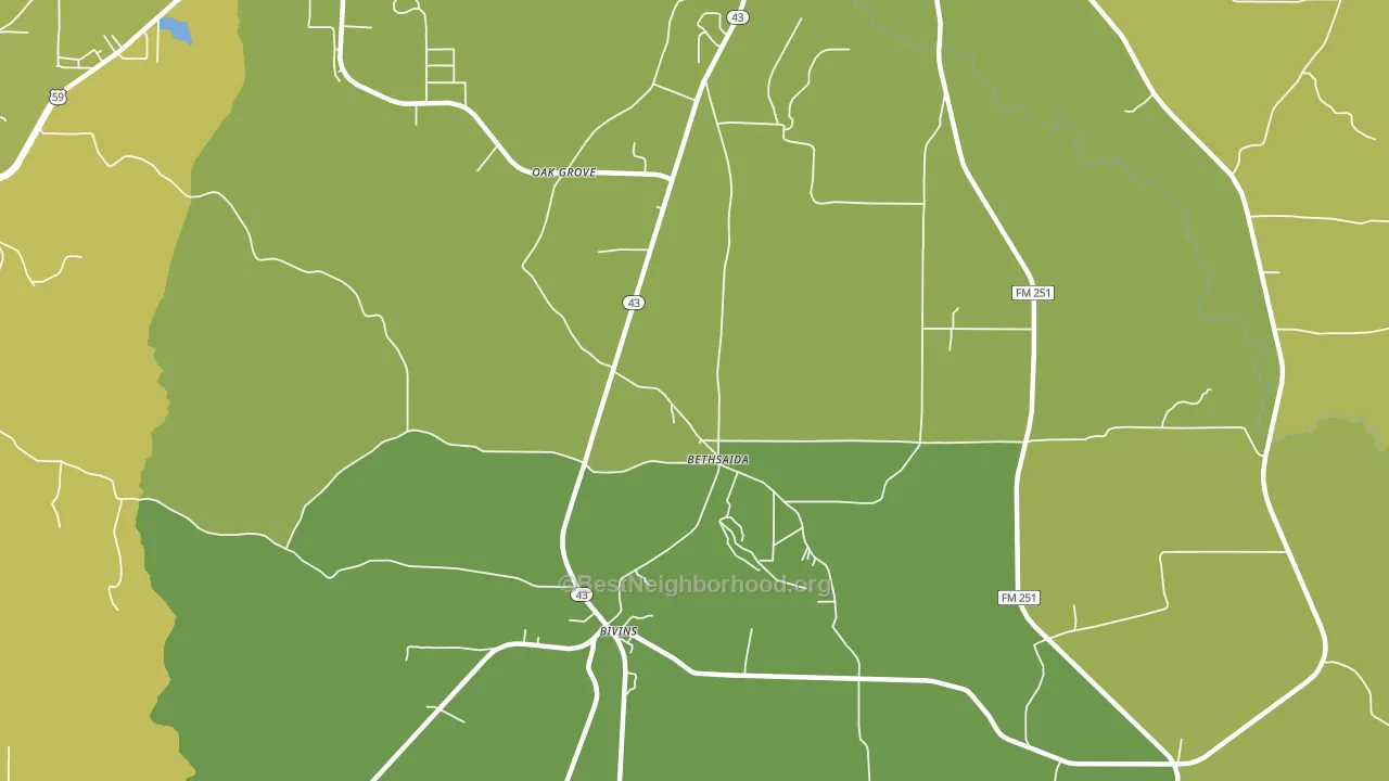 Bethsaida, TX block-group voter-turnout map