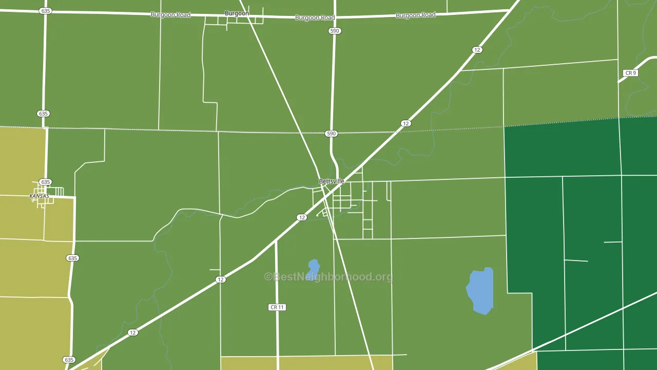 Bettsville, OH block-group voter-turnout map