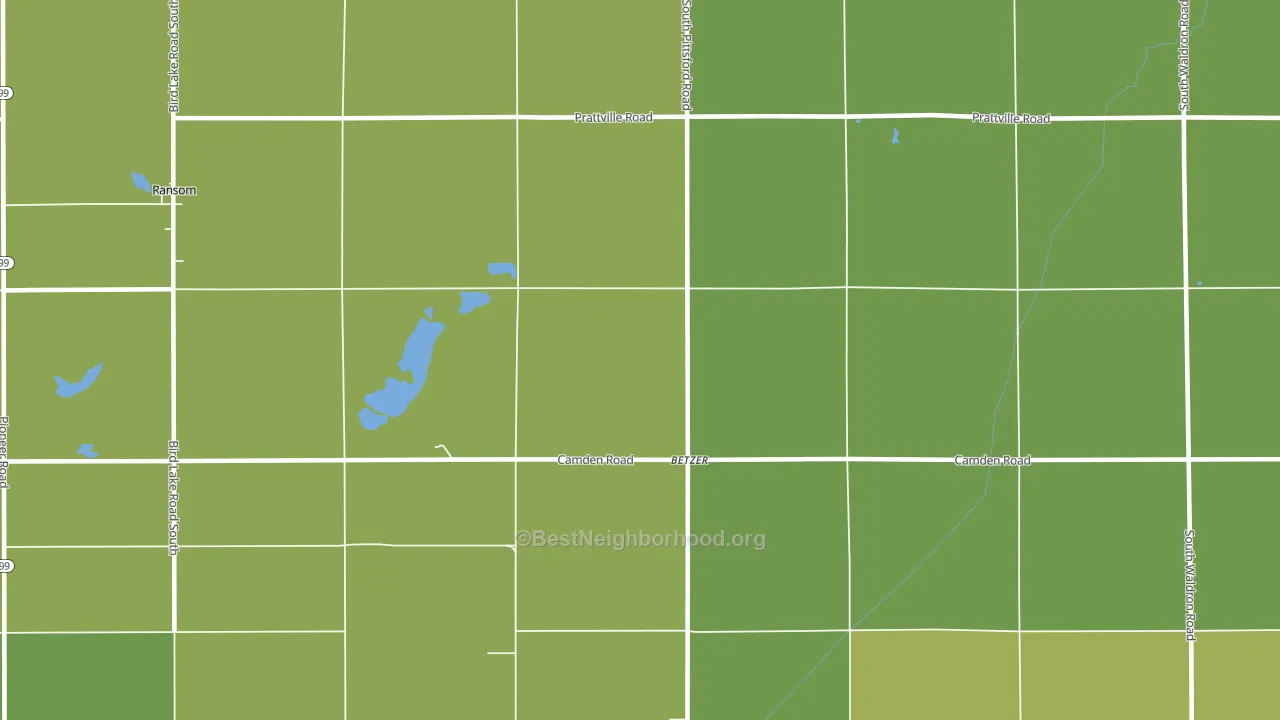 Betzer, MI block-group voter-turnout map