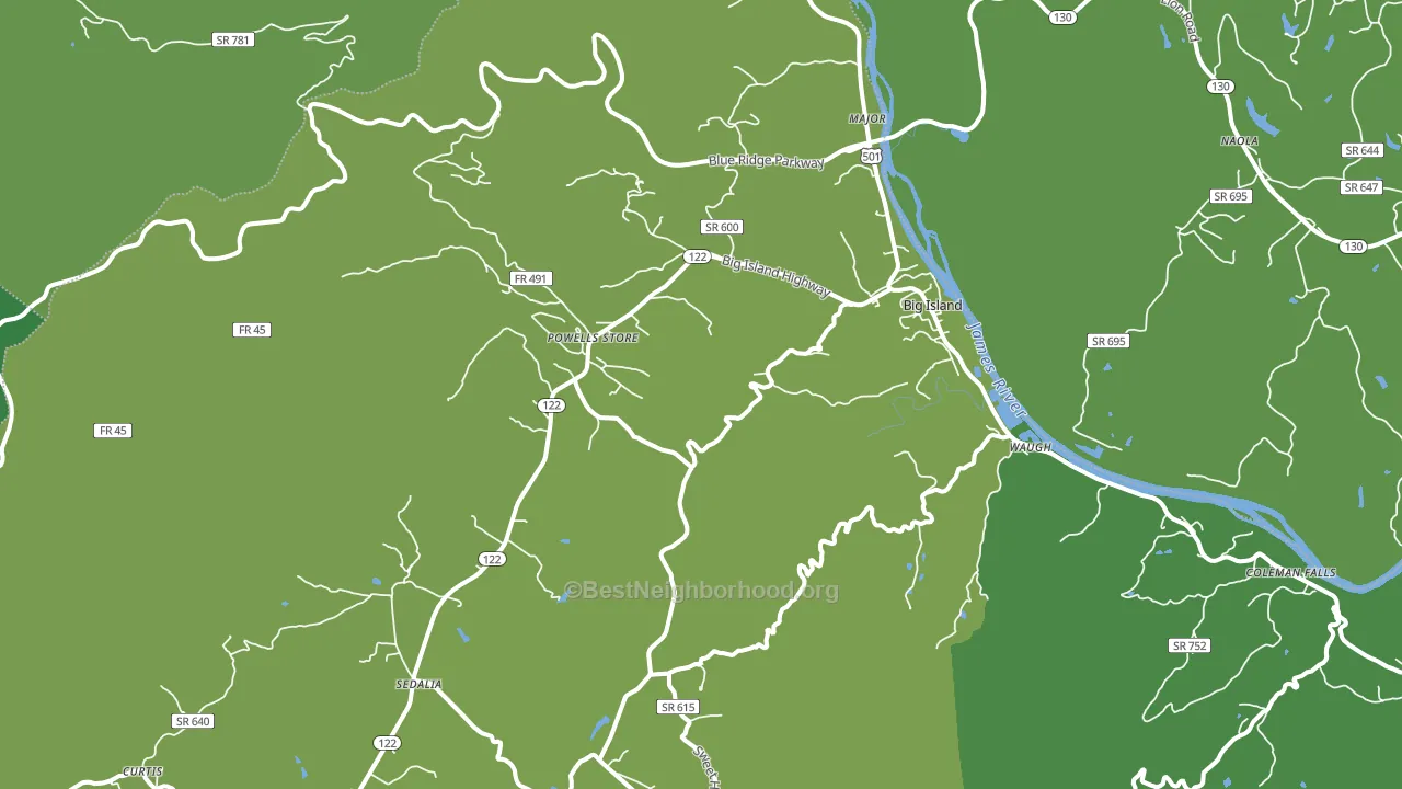 Big Island, VA block-group voter-turnout map