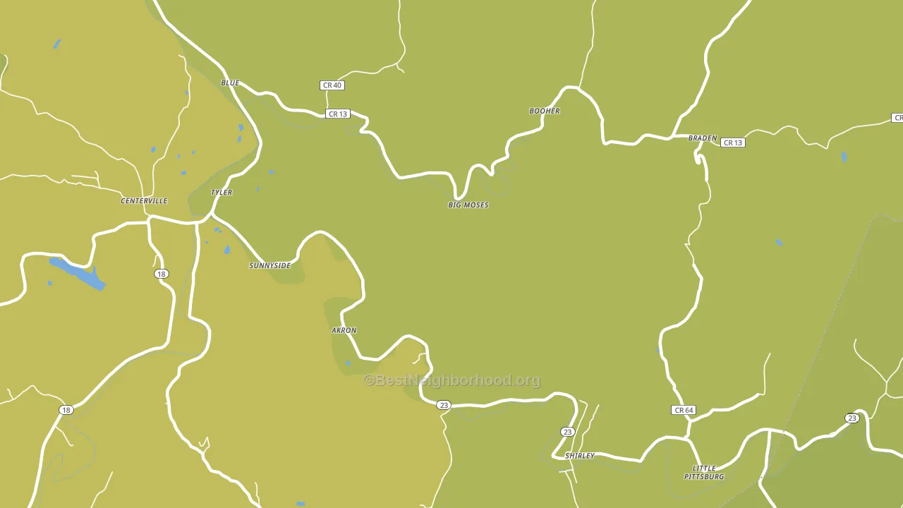 Big Moses, WV block-group voter-turnout map