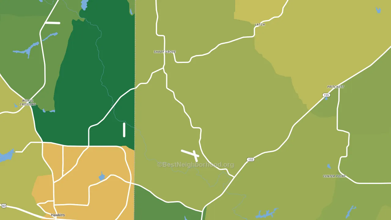 Big Sandy, TX block-group voter-turnout map