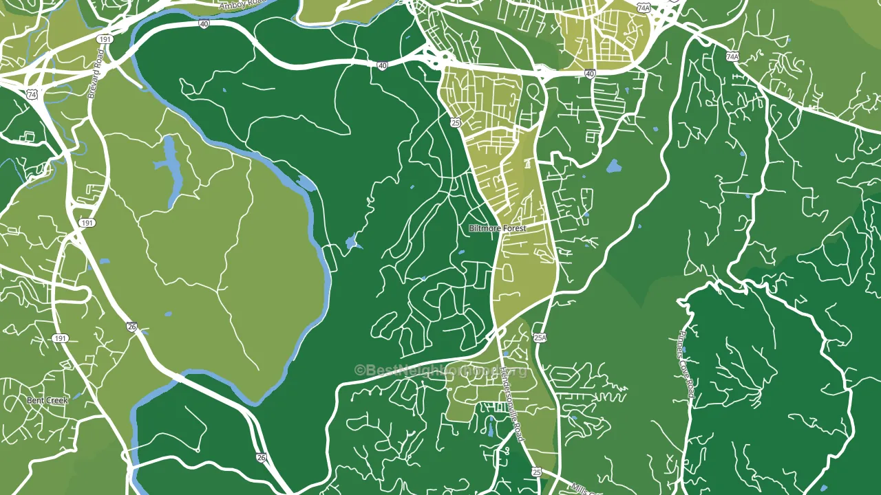Biltmore Forest, NC block-group voter-turnout map