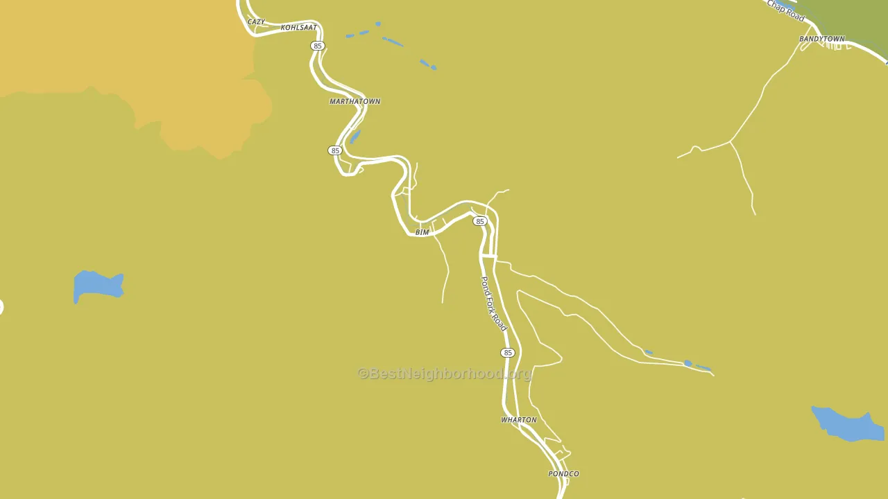 Bim, WV block-group voter-turnout map