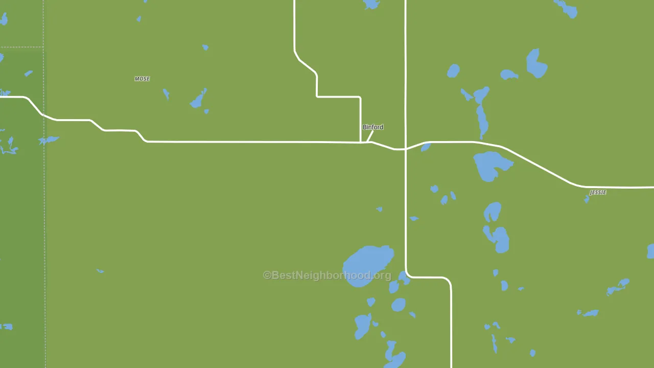 Binford, ND block-group voter-turnout map