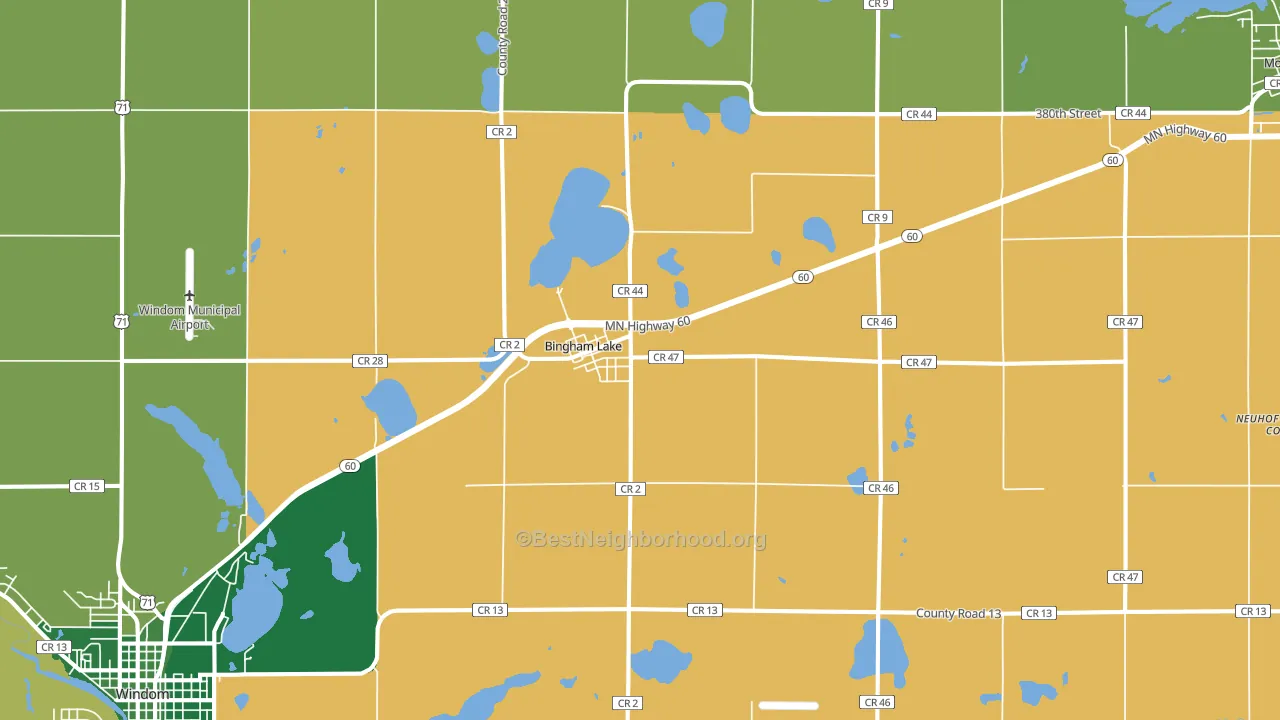 Bingham Lake, MN block-group voter-turnout map