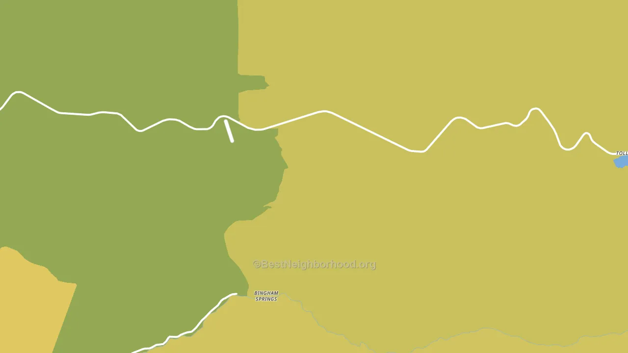 Bingham Springs, OR block-group voter-turnout map