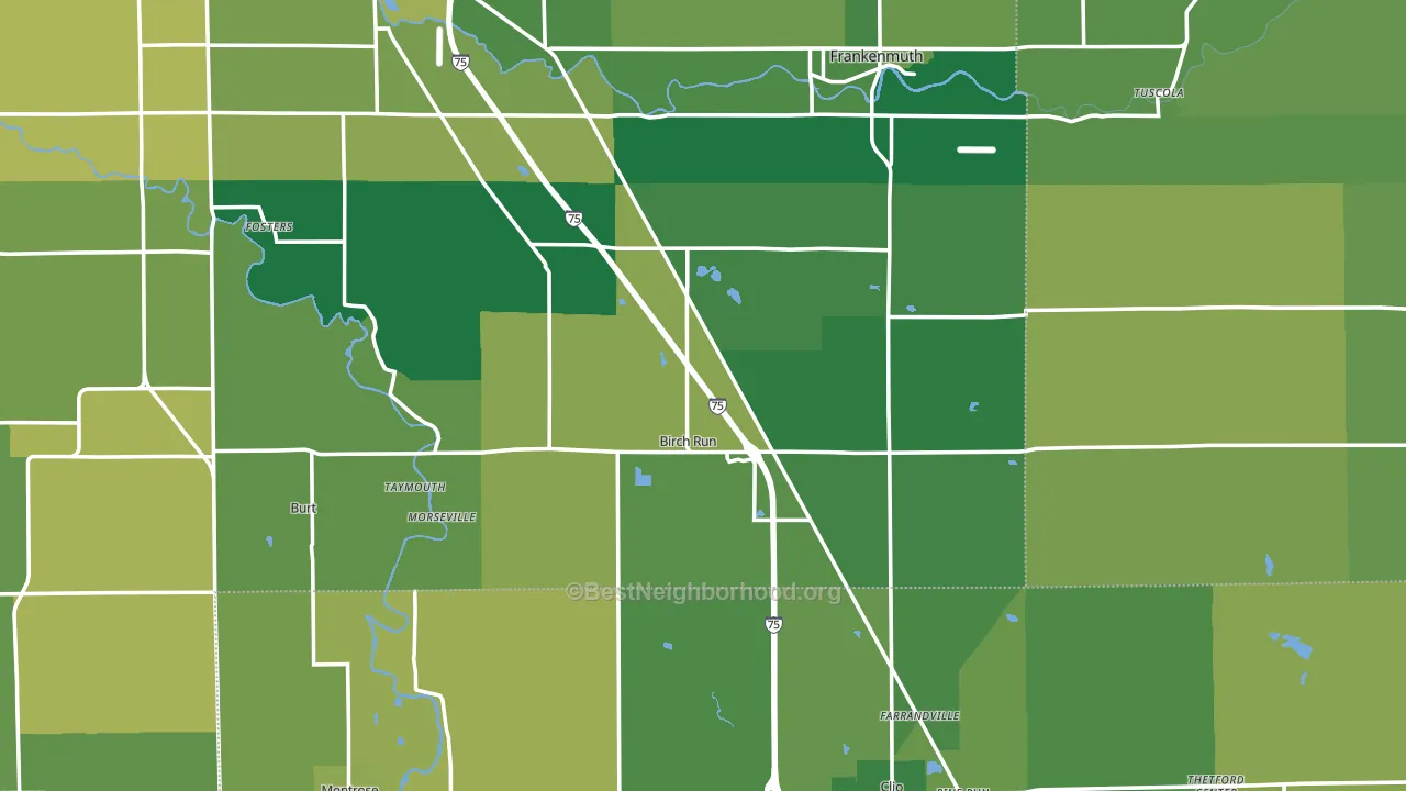 Birch Run, MI block-group voter-turnout map